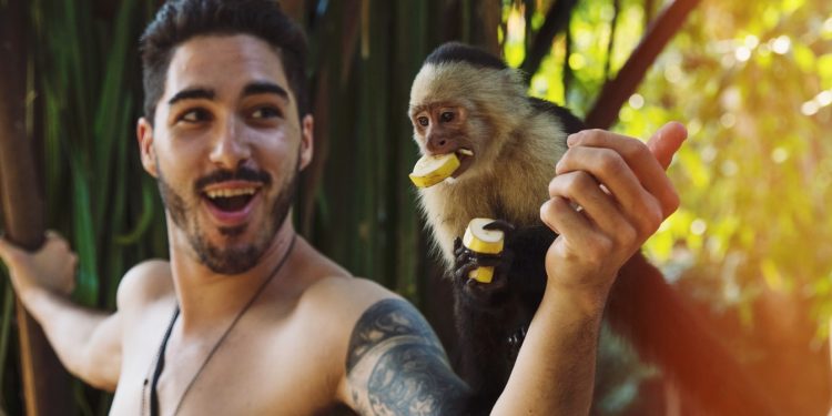 Scientists achieve the first human-monkey hybrid and cause great controversy