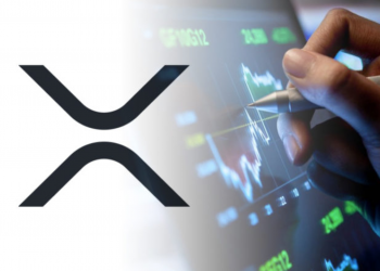 Ripple for Beginners