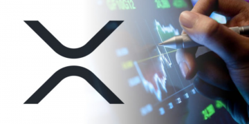 Ripple for Beginners