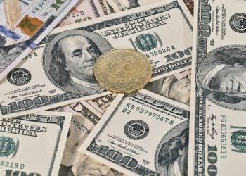 Why Do Cryptocurrency Markets Fall So Fast?