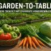 Fresh vegetables and herbs harvested from a backyard garden arranged on a rustic wooden table